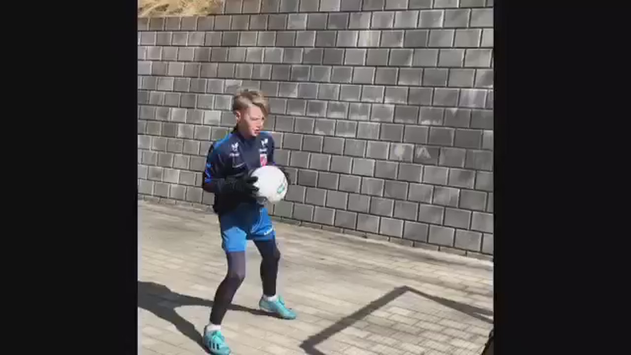 Linus 1.mp4